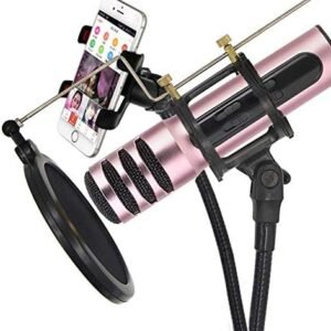 Professional Phone Microphone