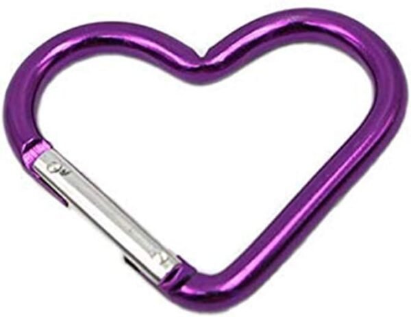 Colorful Carabiner Keychains